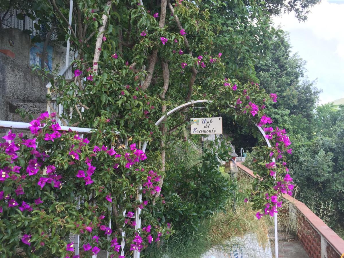 Villa Fuenti Bay -Amalfi Coast- 切塔拉 外观 照片